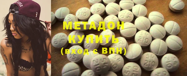 прущие грибы Балахна