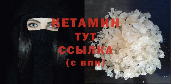 прущие грибы Балахна