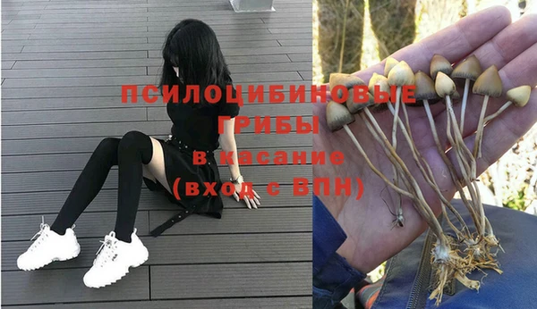 мдпв Балабаново