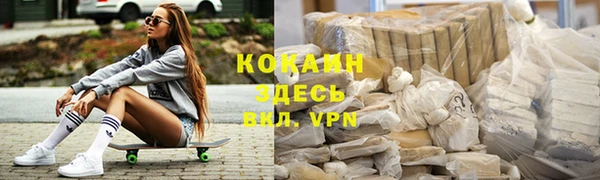 прущие грибы Балахна