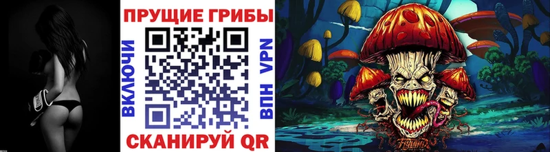 МЕГА   Малмыж  Галлюциногенные грибы Psilocybine cubensis  купить  цена 